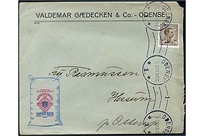 20 øre Chr. X på illustreret firmakuvert fra Valdemar Gædecksen & Co. i Odense d. 5.3.1924 til Hessum pr. Otterup.