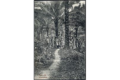 Gold Coast. Palm-Oil Plantation. Basel Mission no. 19.