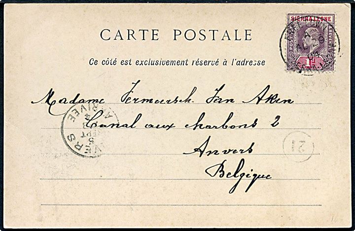 1d Edward VII på brevkort (Negerfamilie fra Senegal) stemplet Freetown Sierra Leone d. 29.8.1904 til Antverpen, Belgien.
