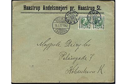 5 øre Chr. IX i parstykke på fortrykt kuvert fra Haastrup Andelsmejeri annulleret med stjernestempel HAASTRUP og sidestemplet bureau Odense - Faaborg T.42 d. 18.1.1907 til Kjøbenhavn. Smukt brev med stempel som kun kendes anvendt i ca. ½ år.