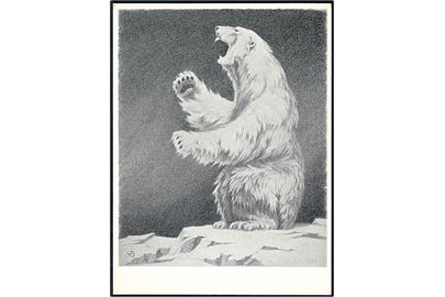 Viggo Bang: Isbjørn. Uden adresselinier. U/no. Forlæg til grønlandsk Isbjørn frimærke fra 1963.