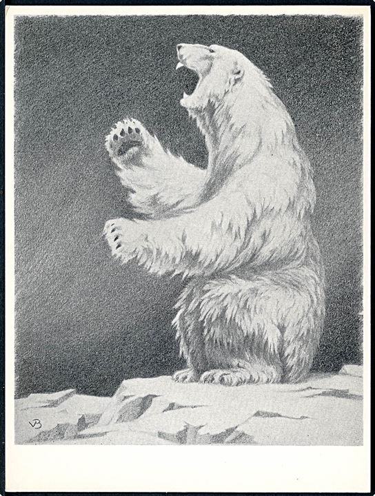 Viggo Bang: Isbjørn. Uden adresselinier. U/no. Forlæg til grønlandsk Isbjørn frimærke fra 1963.