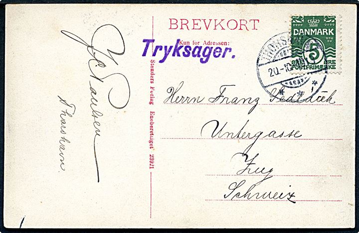 5 øre Bølgelinie på brevkort (Fuglebjærg paa Viderø, Færøerne) sendt som tryksag med brotype Ig Thorshavn d. 20.0.1913 til Zug, Schweiz. God destination fra Færøerne.