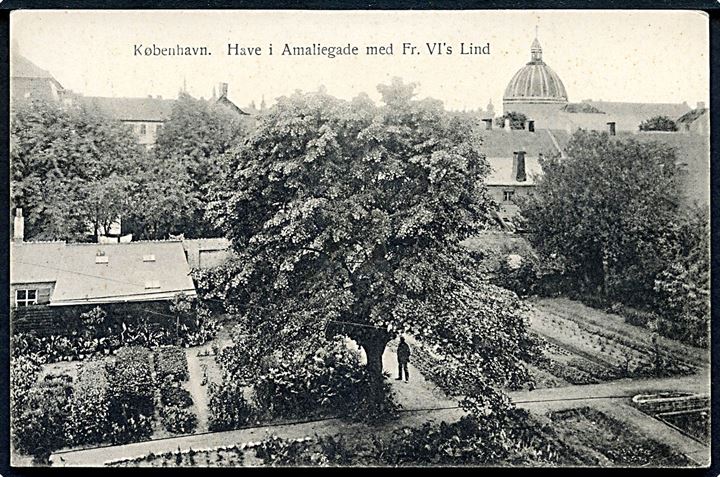København. Have i Amaliegade med Fr. VI's Lind. Fritz Benzen type III no. 583
