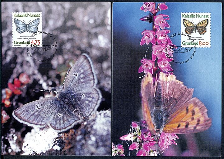 Grønland. 4 maxikort. Arktisk Perlemorfugl, Arktisk Høsommerfugl, Bjerg-blåfugl & Lille Ildfugl. Grønlands Postvæsen Bet 87/97, 88/97, 89/97 & 90/97. 