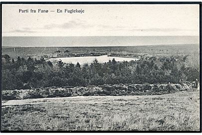 Parti fra Fanø. En Fuglekøje. Marie Bentzens Bog og papirhandel no. 1014. 