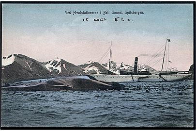 Svalbard. Bell Sound, dampskib ved hvalstationerne. No. 7. Kvalitet 9