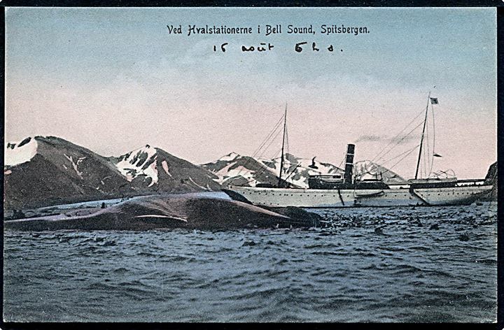 Svalbard. Bell Sound, dampskib ved hvalstationerne. No. 7. Kvalitet 9