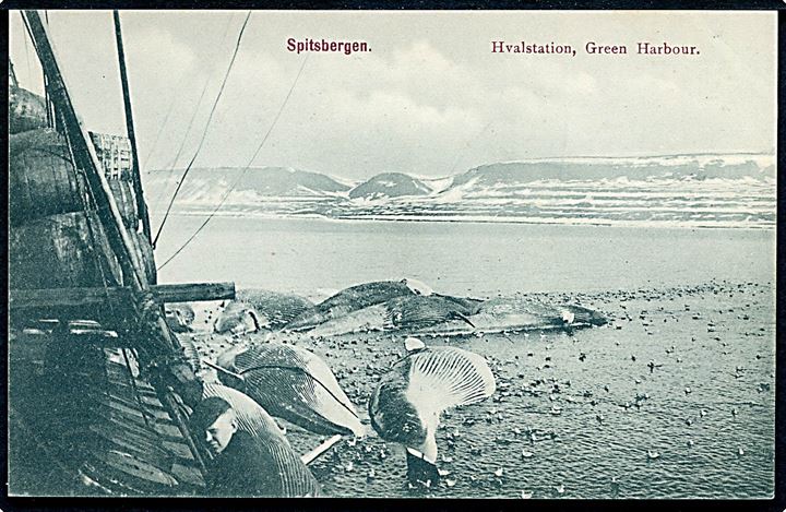 Svalbard. Green Harbour, hvalstation. Nordisk Kunstforlag no. 11. Kvalitet 9