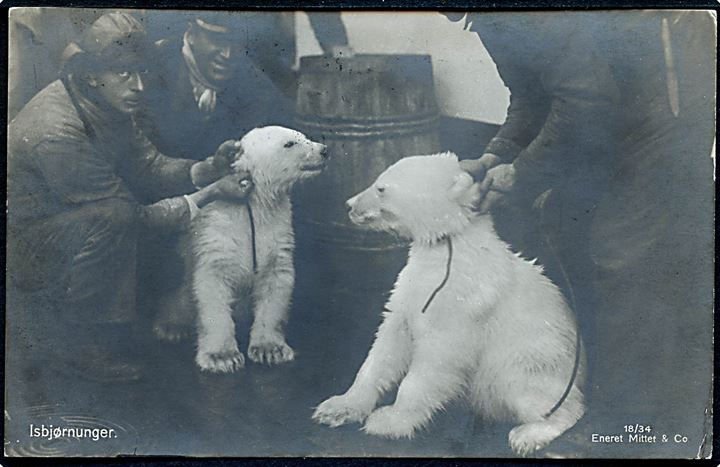 Svalbard. Isbjørne unger. Mittet & Co. no. 18/34. Sendt fra Longyearbyen til Belgien 1933. Kvalitet 7