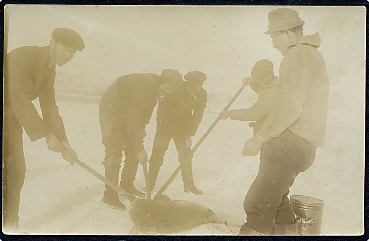 Ivigtut, arbejdere med fanget bundhaj. Fotokort u/no. Kvalitet 7