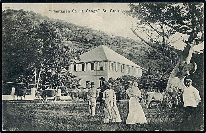 D.V.I., St. Croix, Plantagen St. La Grange. E. Langkjær no. 1863. Kvalitet 8