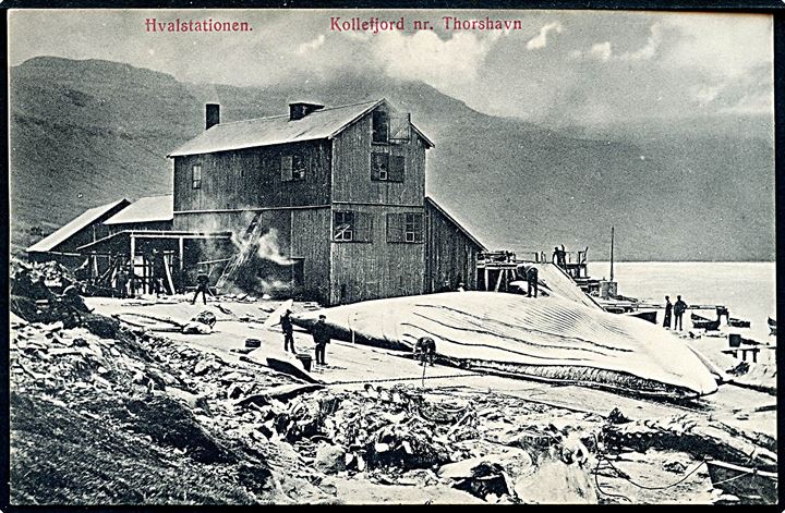 Kollefjord, hvalstationen med hval. A. Brend u/no. Kvalitet 9