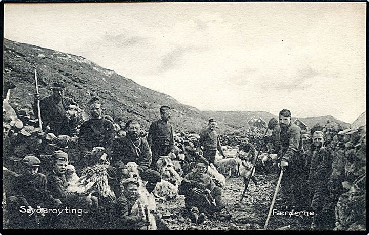 Seyðaroyting - fåreklipning. J. Nolsøe no. 17399. Kvalitet 9