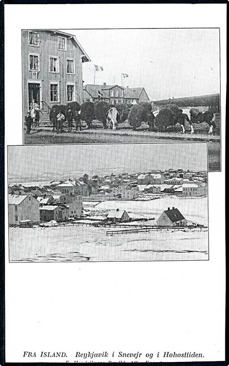 Reykjavik, i snevejr og i høhøsttiden. På bagsiden stemplet: Dansk Koloniudstilling * Tivoli 1905 *. U/no. Kvalitet 8