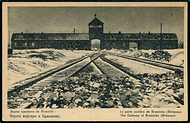 Verdenskrig 2. KZ-lejren Auschwitz II (Birkenau). No. M30220. Kvalitet 8