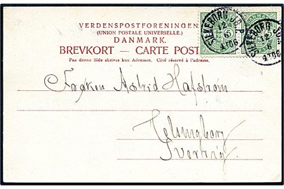 5 øre Våben i parstykke på brevkort annulleret med lapidar Silkeborg JB.P. d. 12.6.1904 til Helsingborg, Sverige.