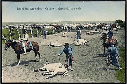 Argentina, brandmærkning af kvæg. 