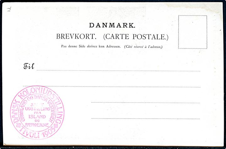 Fra Grønland: Børn og Ungdom fra Godthaab. F. Hendriksen u/no. På bagsiden stemplet Dansk Koloniudstilling * Tivoli 1905 *.