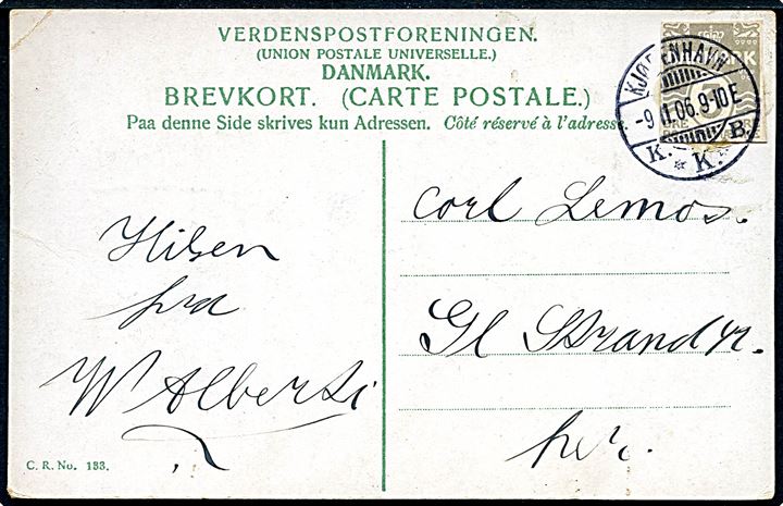 3 øre helsagsafklip som frankering på lokalt brevkort i Kjøbenhavn d. 9.11.1906.