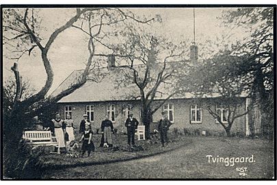 Tvinggaard, 	Teestrup Sogn. Ejendommen med familie og tjenestefolk. Svegård no. 1057.