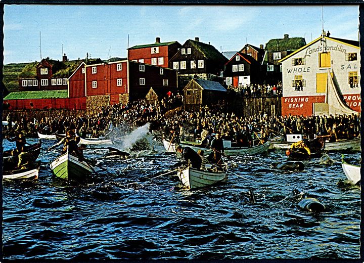 Færøerne. Grindedrab i Thorshavn. Ásmundur Poulsen u/no. 