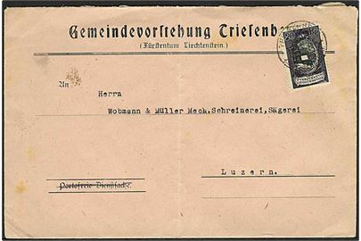 20 rp. Landskab single på brev fra Triesenberg til Luzern, Schweiz. Utydeligt stempel.