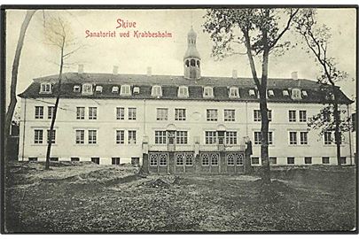 Sanatoriet ved Krabbesholm. W.K.F. no. 1586.