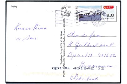 8 kr. Dronning Alexandrines Bro på brevkort fra Esbjerg annulleret Sydjyllands Postcenter d. 26.4.2009 til Holland.