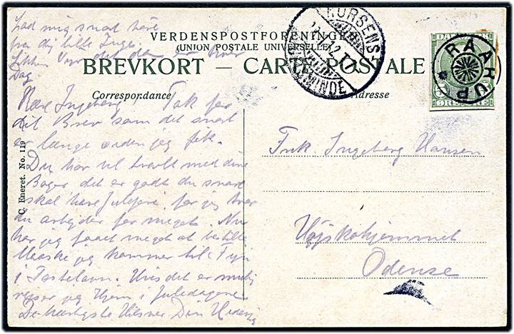 5 øre Chr. X på brevkort annulleret med stjernestempel RAARUP og sidestemplet bureau Horsens - Juelsminde T.7 d. 18.11.1912 til Odense.