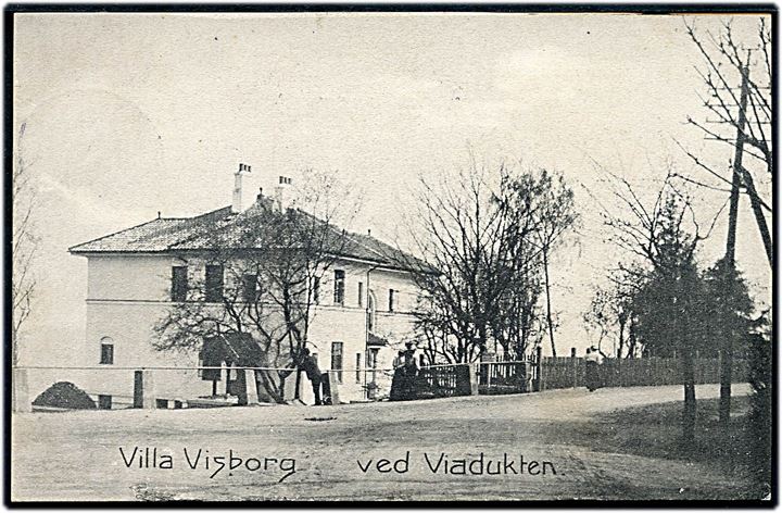 Villa Visborg. Ved Viadukten. V. M. no. 100. 