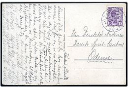 15 øre Chr. X på brevkort fra Tønder annulleret med bureaustempel Tønder - Højer T.1545 d. 10.7.1924 til Odense.