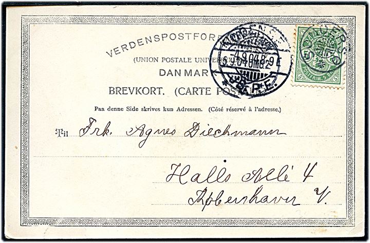 5 øre Våben på brevkort annulleret med stjernestempel SØNDERSØ og sidestemplet Odense JB.P.E. d. 4.9.1904 til København.