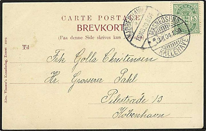 5 øre Våben på brevkort annulleret med bureaustempel Masnedsund - Kallehave T.5 d. 9.8.1904 til København.
