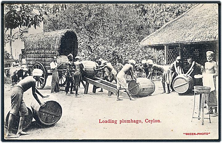 Ceylon, Loading plumbago. Skeen-Photo. u/no.