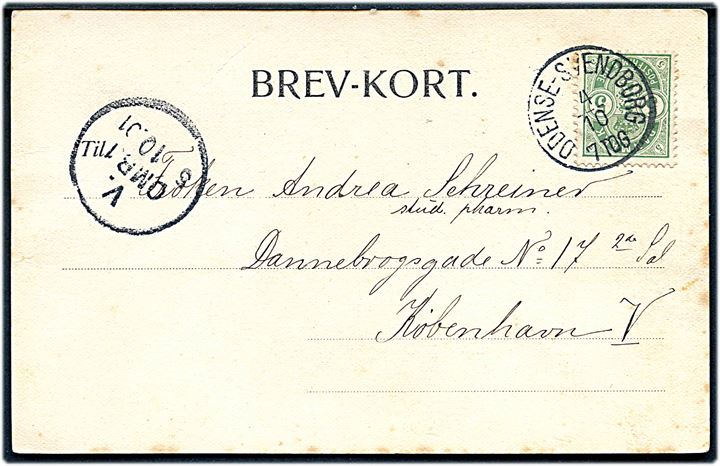 5 øre Våben på brevkort annulleret med lapidar bureaustempel Odense - Svendborg d. 4.10.1901 til København.