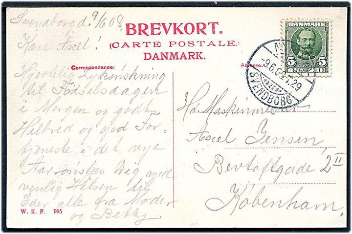 5 øre Fr. VIII på brevkort (Svendborg, Vejen til Sct. Jørgensgaard) fra Svendborg annulleret med bureaustempel Nyborg - Svendborg T.29 d. 9.6.1908 til København.