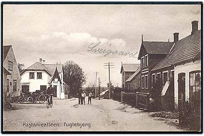 Fuglebjerg, Kastaniealleen. A. Petersen no. 21939.