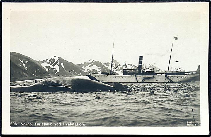 Norge. Svalbard. Turistskib S/S “Kong Harald” ved hvalstation. Mittet & Co. no. 605. Kvalitet 9