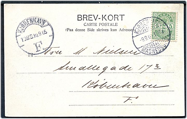 5 øre Våben på brevkort annulleret med bureaustempel Kjøbenhavn - Masnedsund T.49(?) d. 9.9.1905 til København.