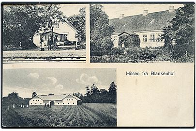 Blankenhof, Hilsen fra med jernbaneholdeplads. Rudebeck no. 3326.