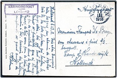 Ufrankeret krigsfangekort fra Vikarbyn d. 11.8.1918 til interneret belgisk soldat i lejr Harderwijk i Holland. 