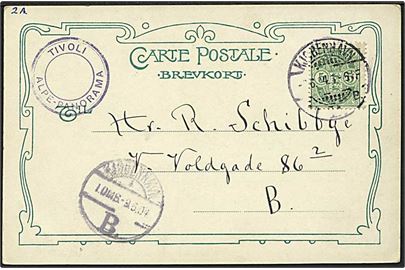 5 øre Våben på brevkort (Parti fra Tivoli Alpenpanorama) på lokalt brevkort i Kjøbenhavn d. 9.6.1904. Privat sidestempel: Tivoli Alpe-Panorama.