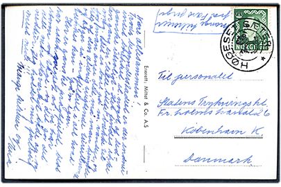 25 øre Haakon på brevkort (Høgeset Seter) annulleret med kronet/posthorn stempel HØGESET SÆTER til København, Danmark.