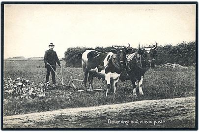 Landmand pløjer mark med et par tyre spændt for Det er drøjt nok, vi maa puste. O. Birkmose, Vildbjerg u/no.
