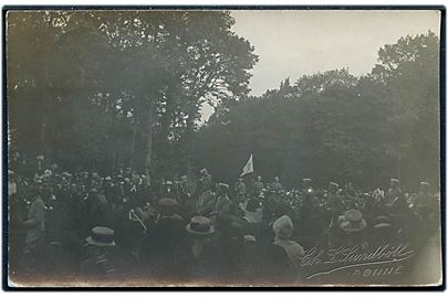 Almindingen, kong Chr. X til Kongerevue i forbindelse med militærmanøvren på Bornholm i 1912. Fotokort u/no - fotograf Ch. L. Sundbøll.