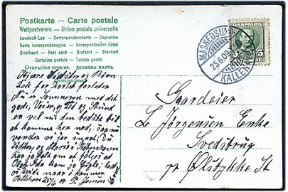 5 øre Fr. VIII på brevkort annulleret med bureaustempel Masnedsund - Kallehave T.5 d. 25.6.1909 til Ølstykke.