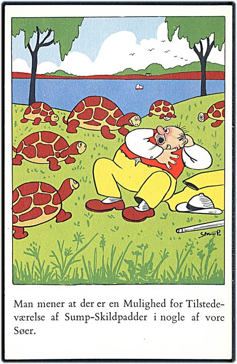 Robert Storm Petersen: Sump-skildpadder. L. Levison Junr. no. 5397. Kvalitet 8