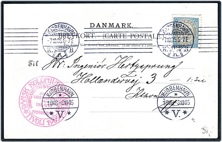 Island, Fuglefanger på Vestmannøerne. F. Hendriksen u/no. Stempel Dansk Koloniudstilling Tivoli 1905. Kvalitet 7
