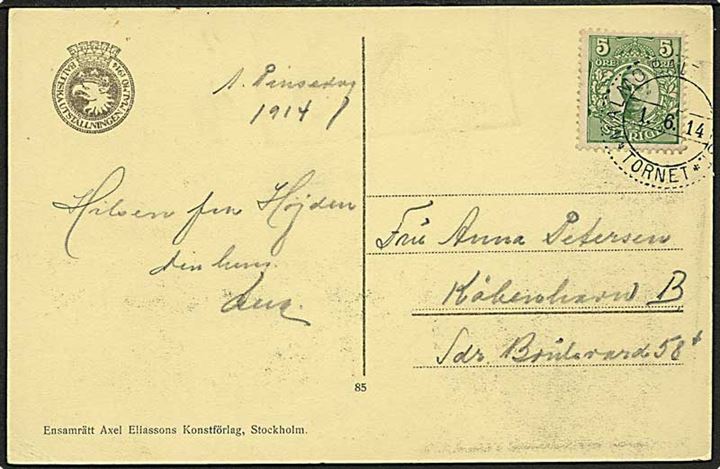 5 öre Gustaf på officielt postkort fra den Baltiske Udstilling annulleret med udstillingsstempel Malmö Balt.... * Tornet * d. 1.6.1914 til København, Danmark.